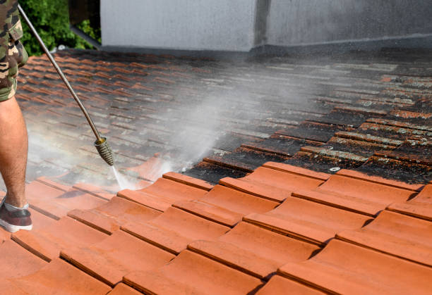 Best Garage Pressure Washing  in Lake Havasu City, AZ