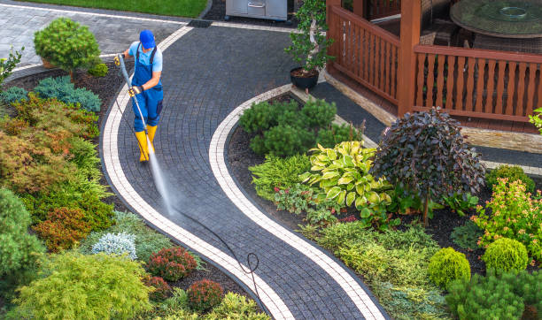 Best Power Washing Near Me  in Lake Havasu City, AZ